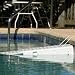 Gamma Skamper Ramp Regular Pool Ramp for Pets
