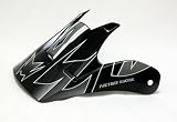 Raider Replacement Visor for Raider MX-2 Silver Helmet
