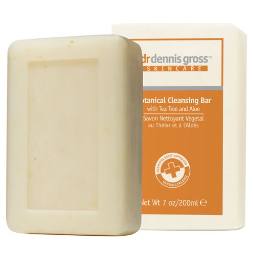 Dr. Dennis Gross Skincare Botanical Cleansing Bar with Tea Tree and Aloe, 1 Bar