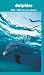 Dolphins 2008 - 2009 Pocket Planner