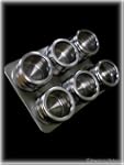 Stainless Steel Spice Rack with 6 Mag...