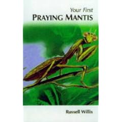 How To Care For Your Praying Mantis (Your first...series)