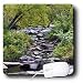 WhiteOak Photography Nature Scenes - Picture of a Creek - Mouse Pads