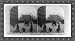 Stereoview (M): Entrance to Fifth Avenue Hotel New York City