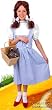 Child's Wizard of Oz Dorothy Costume (Size: Small 6-8)