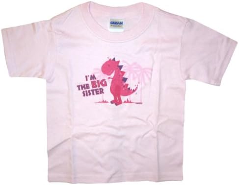 Sibling Tees Dinosaur Big Sister YouthT-Shirt-Pink-Medium