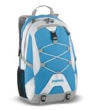 JanSport Lead Backpack