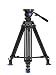Benro BV8 Twin Leg Aluminum Tripod Kit (BV8)