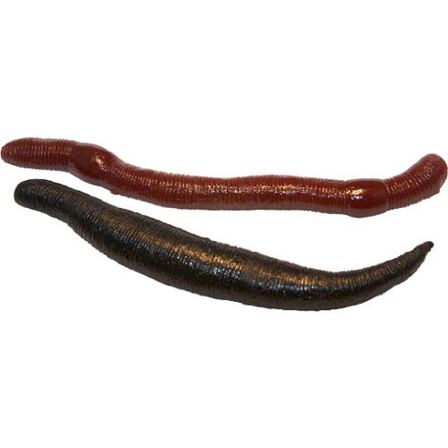 Childrens Toyshop  Küche & Haushalt : Schleimiger Ekel Wurm