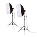 PhotoSEL LS21E52 Professional Softbox Studio Lighting Kit with 2x85w 5000lm 5400K 90+ CRI Bulbs, 40x60cm Softboxes, 80-185cm Light Stands