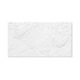 【クリックで詳細表示】【珪藻土 壁材 左官道具 DIY 建材 天井材料】 珪藻土壁材 面積4坪/畳8枚分 15.2kg ホワイト(A260-SET-S1)： DIY・工具