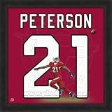 Patrick Peterson Arizona Cardinals 20x20 Framed Uniframe Jersey Photo