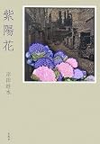 紫陽花