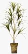 55" Outdoor Plastic Yucca Plant