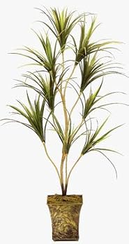 55" Outdoor Plastic Yucca Plant