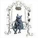 Loving Frog On Swing