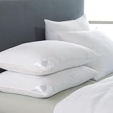 Better than Down Standard Pillows, Set of 2 by 