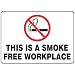 ACCUFORM MSMK412VA Sign,10x14In,This Is A Smoke Free Work