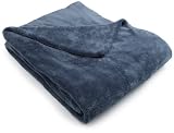Sunbeam Camelot Microplush 50 by 60-Inch SlumberRest Heated Throw, Lagoon