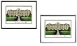 St. Mary's University Undergrad Framed Collegiate Campus Lithograph