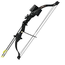 Bear Archery Brave 2 Bow Set