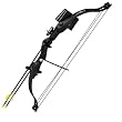 Bear Archery Brave 2 Bow Set