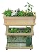 Aquaponic System Farm in a Box - Little Tokyo
