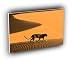 cheetah desert namibia africa A2 Large Canvas