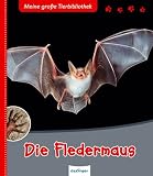 Die Fledermaus - Jens Poschadel