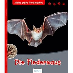 Die Fledermaus