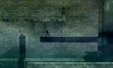 Lost in Shadow