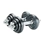 York 20kg Black Cast Iron Dumbell Set