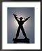 Free Irian Monument at Bateng Square, Jakarta, Indonesia Places Framed Art Poster Print by Bernard Napthine, 18x22