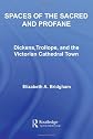 Spaces of the Sacred and Profane: Dickens, Trollope, and the Vicorian Cathedral Town (Literary Criticism and Cultural Theory)