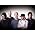 Miniaturansicht von A Perfect Circle