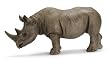 African Black Rhino