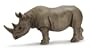 African Black Rhino