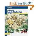 Griechische Landschildkr�ten, Ihr Hobby