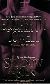 Shadow And Silk (Zebra Romantic Suspense)
