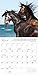 The Spirited Horse 2016 Calendar