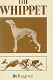 The whippet