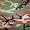 woodland camouflage