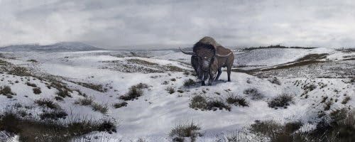 A Bison Latifrons in a Winter Landscape during the Pleistocene Epoch Wall Decal - 30 Inches W x 12 Inches H - Peel and Stick Removable Graphic