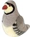RED LEGGED PARTRIDGE by Wild Republic