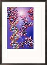 Dna Double Helix and Protein Art Styles Framed Photographic Poster Print by Jacob Halaska, 21x29