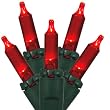 Set of 50 LED Red Mini Christmas Lights - Green Wire