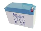 Sigmas Battery SPG6-8 - 6.00 Volt 8.00 AmpH SLA Battery