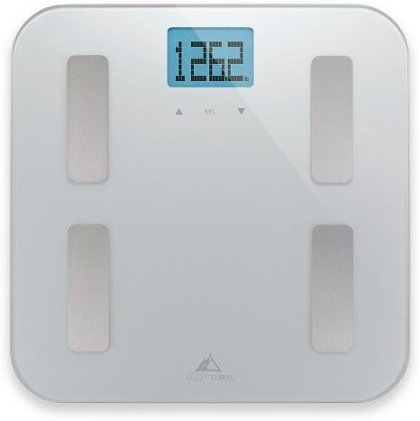 Weight Gurus AppSync Smart Scale with Body Composition - Silver