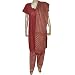 Punjabi Salwar Kameez Cotton Printed Dress Size M (slk451)