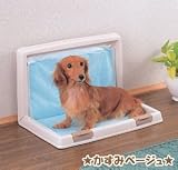 �����ꥹ��������ޤꤿ���߸��ȥ��졡IT-500�����������֥롼